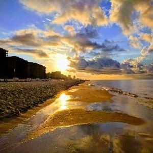 Meet your Posher, Whitney